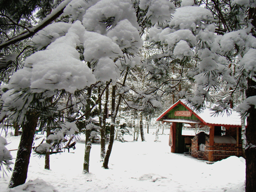 DSC00770a Ośrodek agroturystyczny Hajduki – galeria zdjęć: obóz zimowy