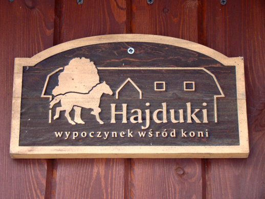 DSC00789a Ośrodek agroturystyczny Hajduki – galeria zdjęć: obóz zimowy 2011