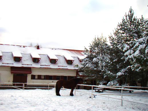 DSC00903a Ośrodek agroturystyczny Hajduki – galeria zdjęć: obóz zimowy