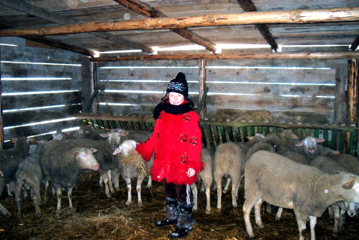 Zima w HAJDUKACH Chynowie 26 Ośrodek agroturystyczny Hajduki – galeria zdjęć: zima w hajdukach