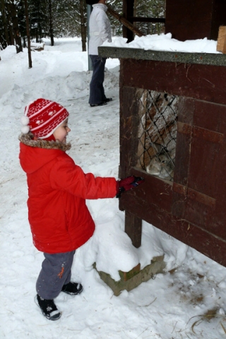 Zima w HAJDUKACH Chynowie 9 640x480 Ośrodek agroturystyczny Hajduki – galeria zdjęć: zima w hajdukach